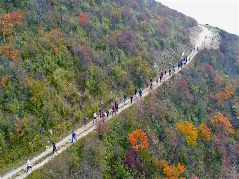 5da18edf0a93c.png 3_副本.png