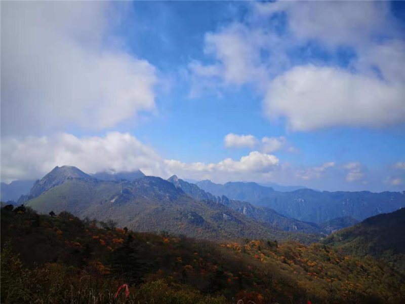 5da7d2b3c95eb.png 圖片4_副本.png