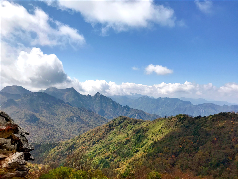 5da7d410ac53d.png 圖片6_副本.png