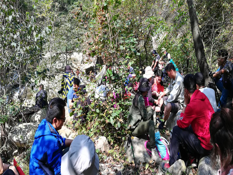 5db3fb96217fa.png 葛亞飛3_副本.png