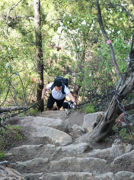 6639c916e3869.png 圖片4.png